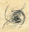 Spiralico, inchiostro, 2000 - Spiralico Tracce Cosmiche