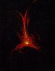 Luogo Terzo - Genesi Spiralico Traccia Cosmica - Elemento Fuoco, cartone - grafite/bitume - luce - essenza profumata - suoni, Articolata Mostra d&rsquo;Arte Vecchia Propositura Scarperia Fi, 2003 - Spiralico Tracce Cosmiche