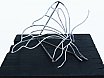 Matrice Farfalla 2, tondino di ferro, lunghezza 37 cm &ndash; larghezza 29 cm, 2018 - Farfalle