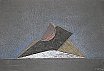 Nel Segno della Solidarietà 3 115 artisti per l&rsquo;ADO di Fabriano Sala Ubaldi &ndash; Fabriano, Macerata 2008, Studio per Genesi, grafiti, matite, pastelli a olio 2004-2008 - Simposi in marmo e pietra, Eventi con sculture e Installazioni permanenti