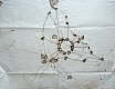 Schizzo per Costruzione Farfalla VI, grafite, saldatura a elettrodi 95x72 cm 2018 - Farfalle