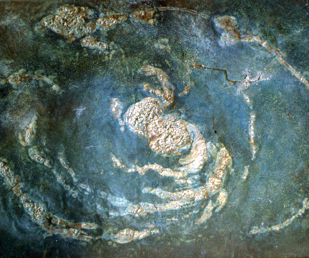 Spiralici 2000-2003