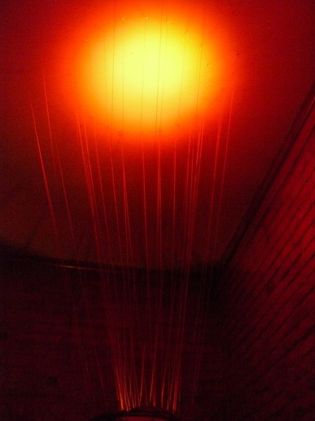 31